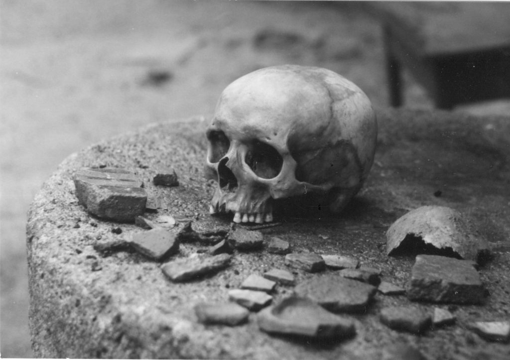 Fotó, Pápa, régészeti ásatás - Gróf Esterházy Károly Múzeum, CC BY-NC-ND