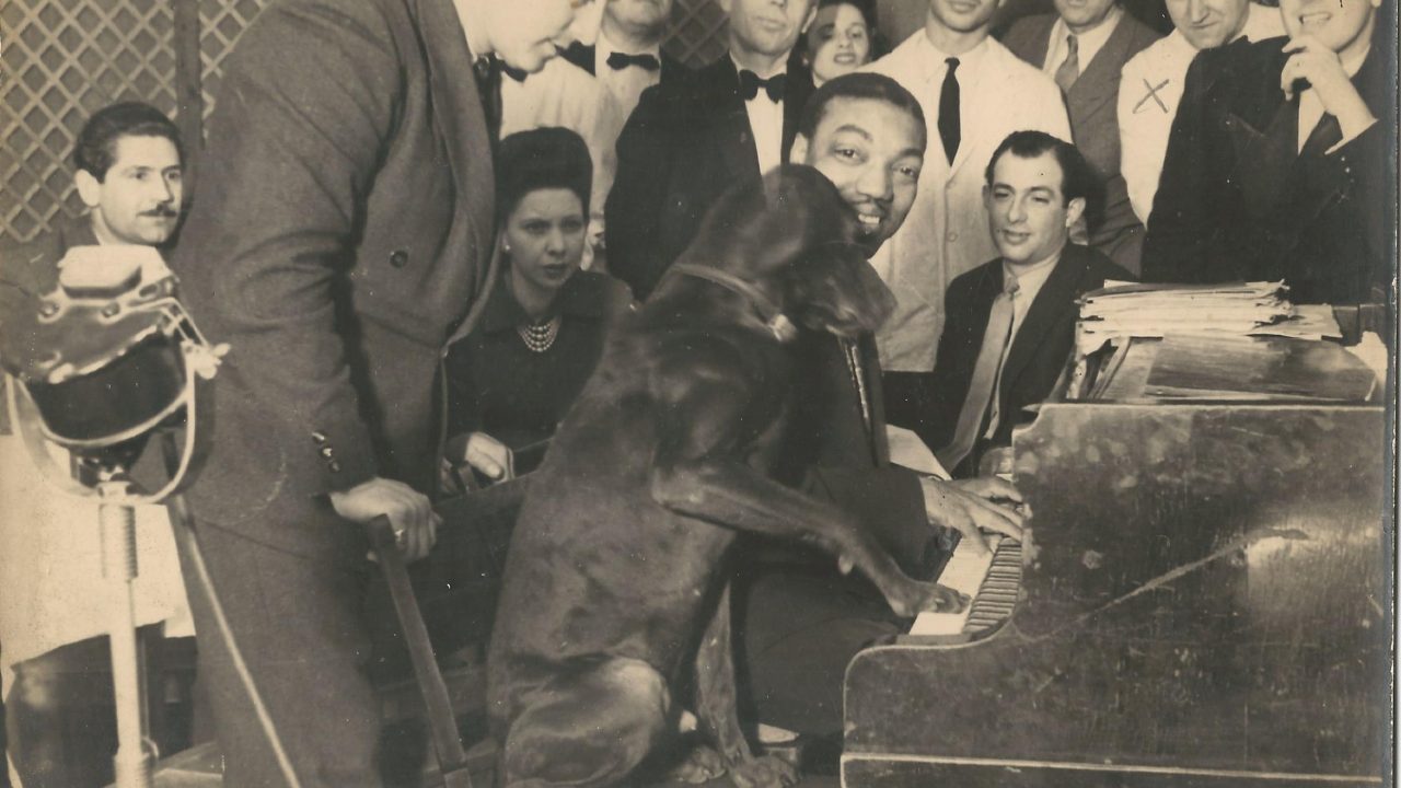 Matuzsálemi kor megért kutyákat vizsgáltak