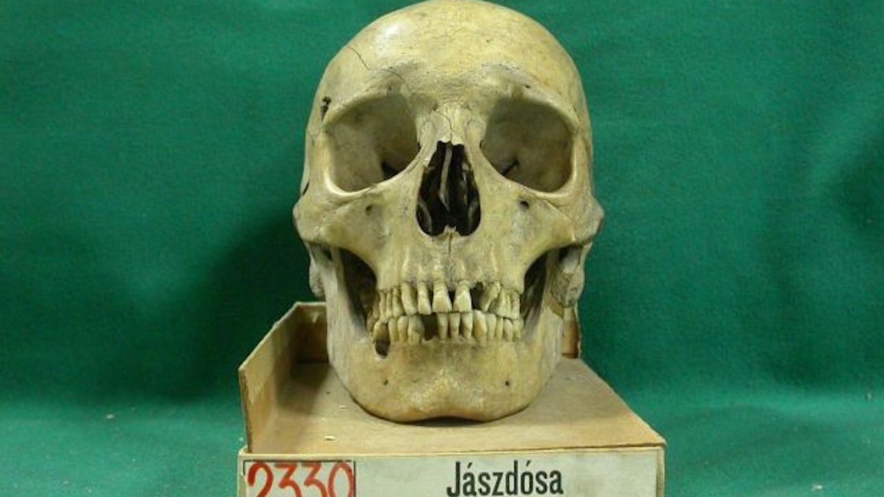 Kétezer éves koponyák dobozokban
