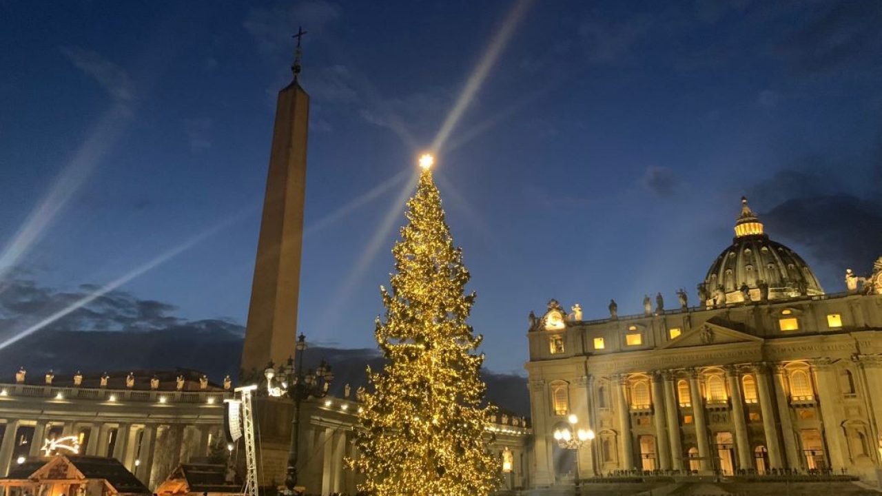 Az idei vatikáni karácsonyfa 113 éves, 28 méter magas