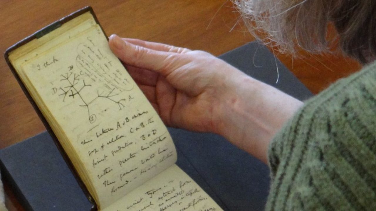 Visszacsempészték Darwin eltűnt naplóit