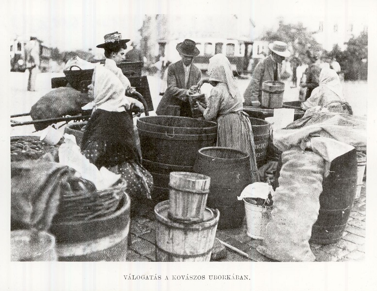 Piaci savanyúságos Budapesten 1910-ben - Magyar Kereskedelmi és Vendéglátóipari Múzeum, CC BY-NC-ND