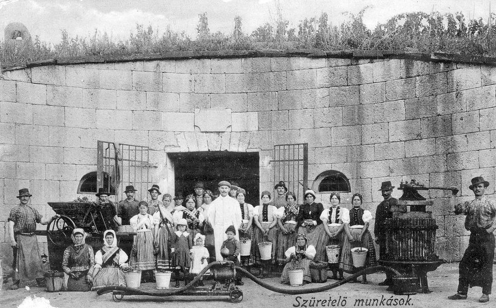 Szüretelők a pince előtt az egri Szépasszony-völgyben - Magyar Kereskedelmi és Vendéglátóipari Múzeum, CC BY-NC-ND