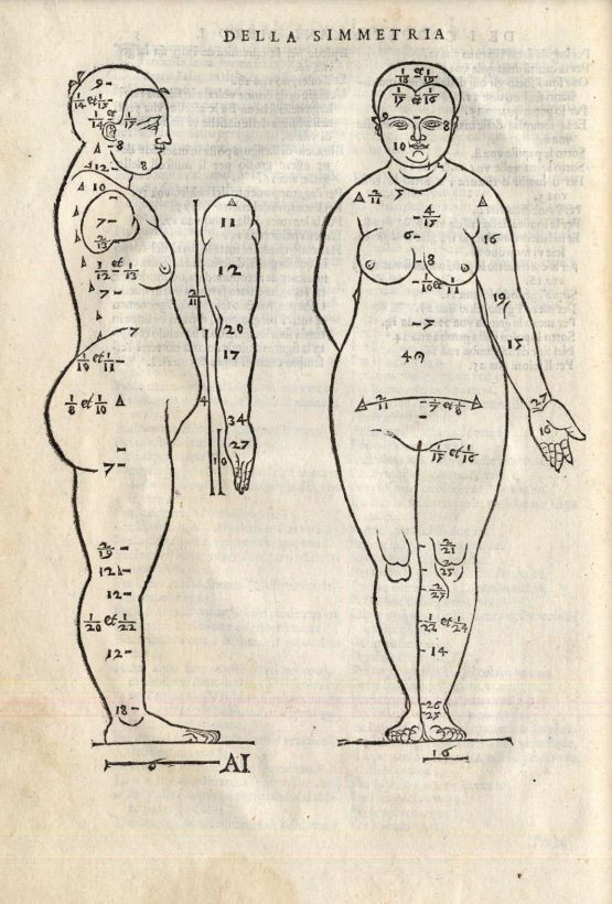 Dürer illusztrációja a Négy könyv az emberi test arányairól c. anatómiai kötetben - Érseki Vagyonkezelő Központ - Főegyházmegyei Könyvtár, CC BY-NC-ND